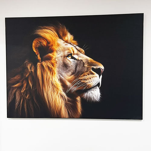 SEG Wall Frame and Print