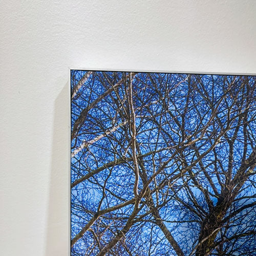 SEG Wall Frame and Print