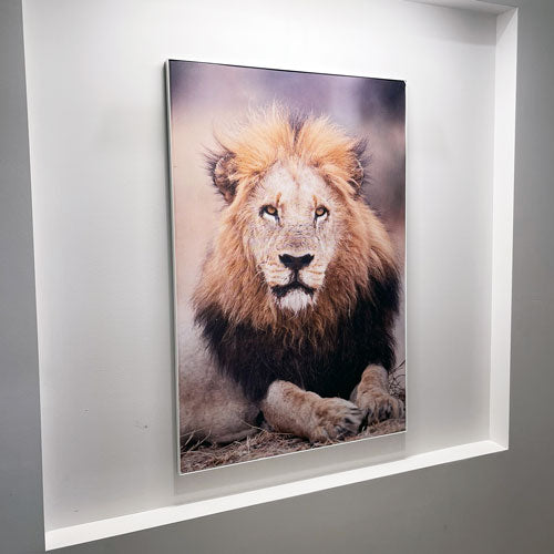 SEG Wall Frame and Print